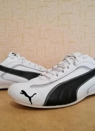 Кроссовки white puma cat