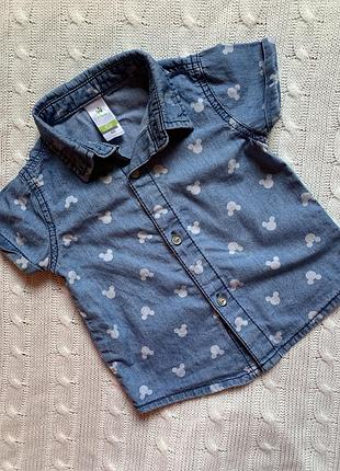 Сорочка міккі