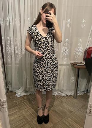 Модне плаття міді принт від h&m2 фото