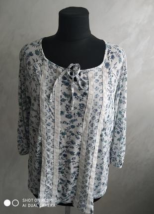 Блуза блузка жіноча