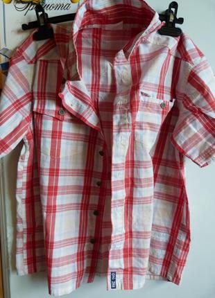 Тениска рост 145-150 "сontact"