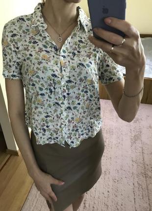Рубашка, блуза