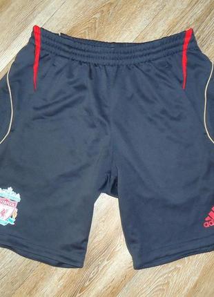 Шорти adidas liverpool clima 365