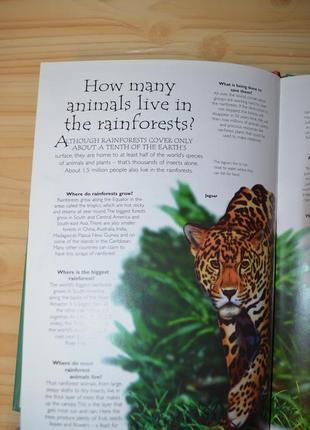 Jungle animals, энциклопедия на английском языке4 фото