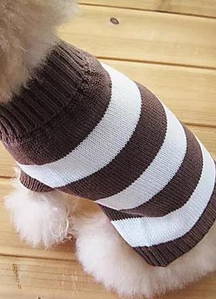 Свитер полоса для собак