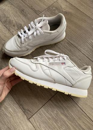 Reebok classic