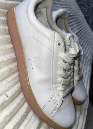 Кеді білі лакосте