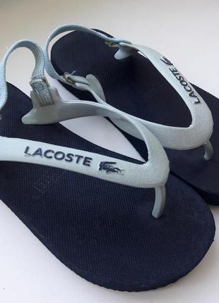 В'єтнамки дитячі lacoste