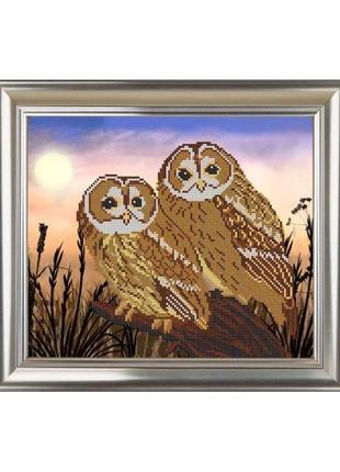 Схема на ткани для вышивания бисером велисса сч-713 совы