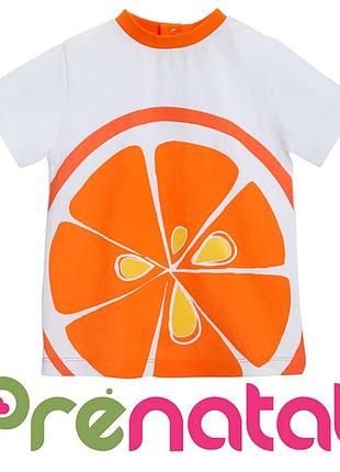 Яскраві фруктові футболки для хлопчиків 3-9 місяців фірми prenatal італія