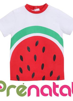Яскраві фруктові футболки для хлопчиків 3-6 місяців фірми prenatal італія