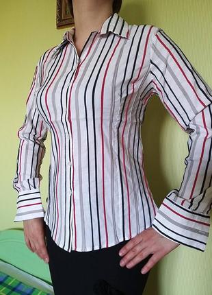 Бавовняна блуза батник сорочка жіноча діловий стиль розмір l-xl / 46-48 / 12-141 фото