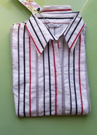 Бавовняна блуза батник сорочка жіноча діловий стиль розмір l-xl / 46-48 / 12-146 фото