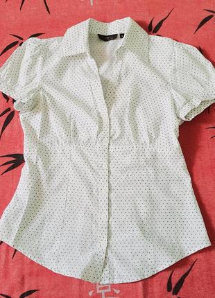 Блузка-рубашка  женская2 фото
