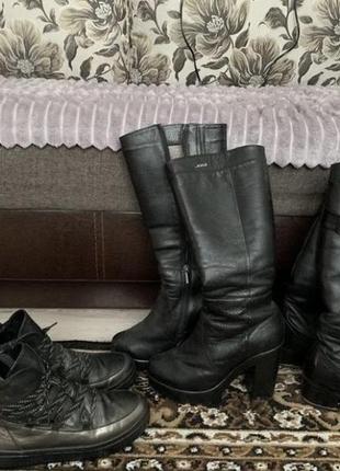 Сапоги