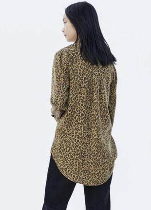 Леопардовая рубашка zara2 фото