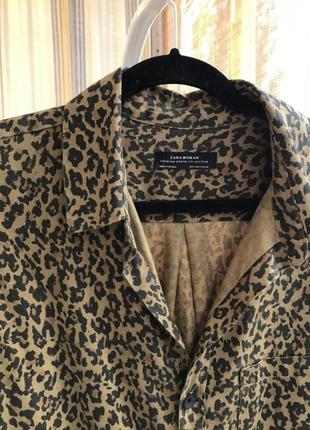 Леопардовая рубашка zara6 фото