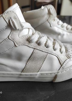 Хайтопи кеді кросівки кросівки