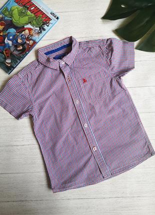 Сорочка rebel