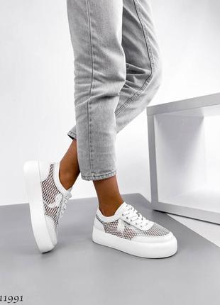 Сліпони сітки