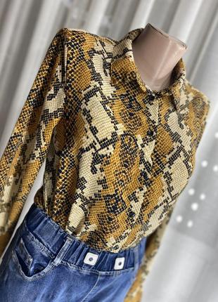 Блуза пітон