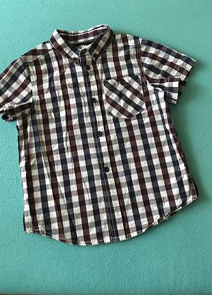Рубашка хлопок 5-6 лет