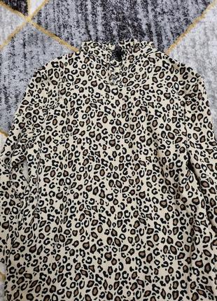 Сорочка terranova 3