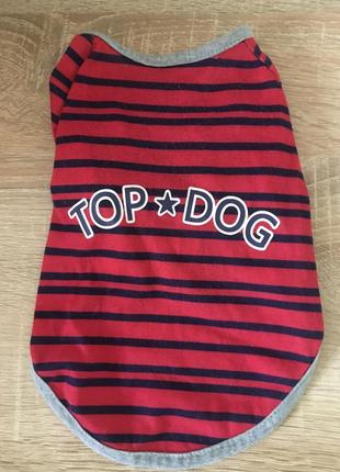 Футболочка  для собачки!