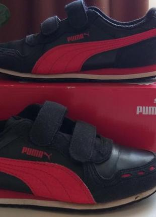 Кросівки puma кросовки оригинал