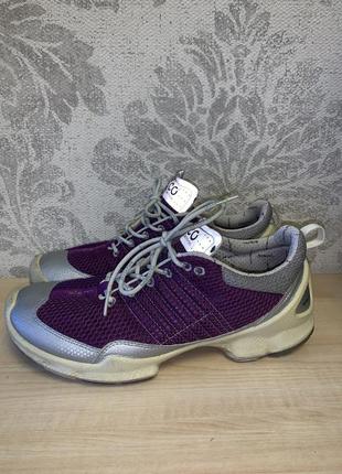 Ecco biom1 фото