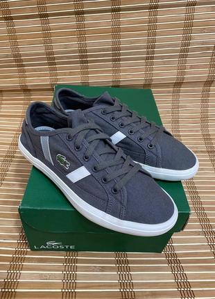 Кеды lacoste Knit оригинал