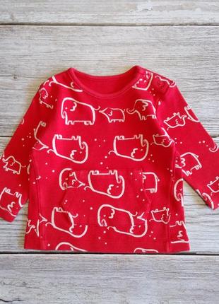Трикотажний червоний костюм комплект набір george слоники на дитину 0-3місяці р. 50-622 фото