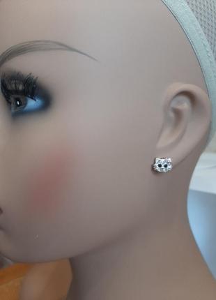 Гвоздики котики серебряные