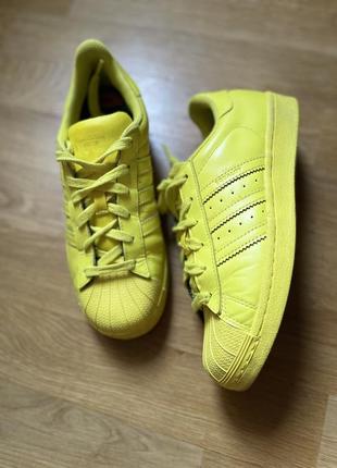 Кросівки adidas superstar