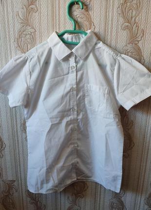 Праздничная  шведка