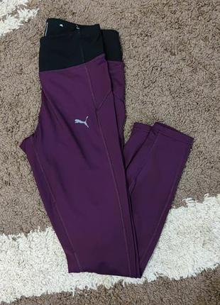 Лосини puma xs