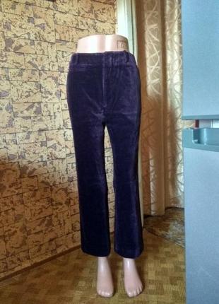 Штани штани велюрові баклажан paul smith short pant італія ☕ м/наш 42-44рр