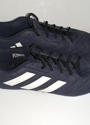 Копи, копочки adidas розмір 39 устілка 25.5 см1 фото