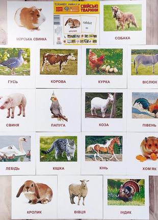 Детские карточки домана "свойские животные", мини (укр.-англ.)2 фото