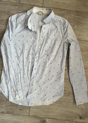 Рубашка в мелкую полоску с прикольным принтом