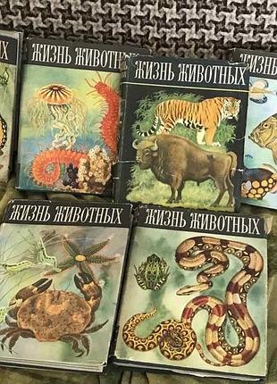 Жизнь животных в 6 томах