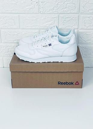Кросівки чоловічі літні сітка reebok classic кросівки рібок класік літо білі4 фото