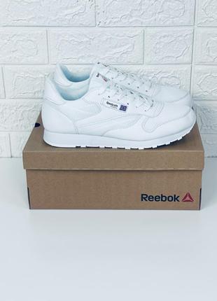 Кросівки чоловічі літні сітка reebok classic кросівки рібок класік літо білі5 фото