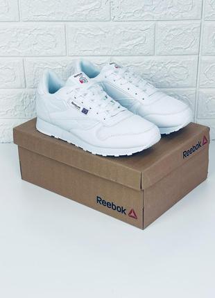 Кросівки чоловічі літні сітка reebok classic кросівки рібок класік літо білі6 фото