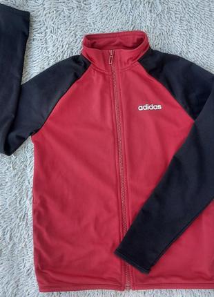 Кофта для хлопчика adidas!!!
