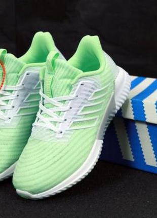 Літні легкі жіночі кросівки adidas climacool. колір світло зелений з білим.