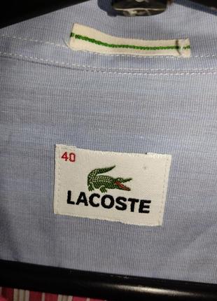 Мужская рубашка в полоску lacoste2 фото