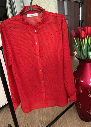 Блузка яскрава та шикарна