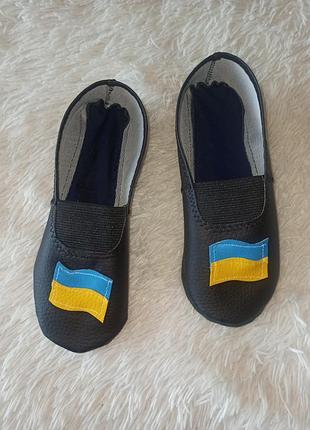 Чешки для хлопчиків з прапором україни