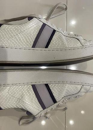 Кеди michael kors irving